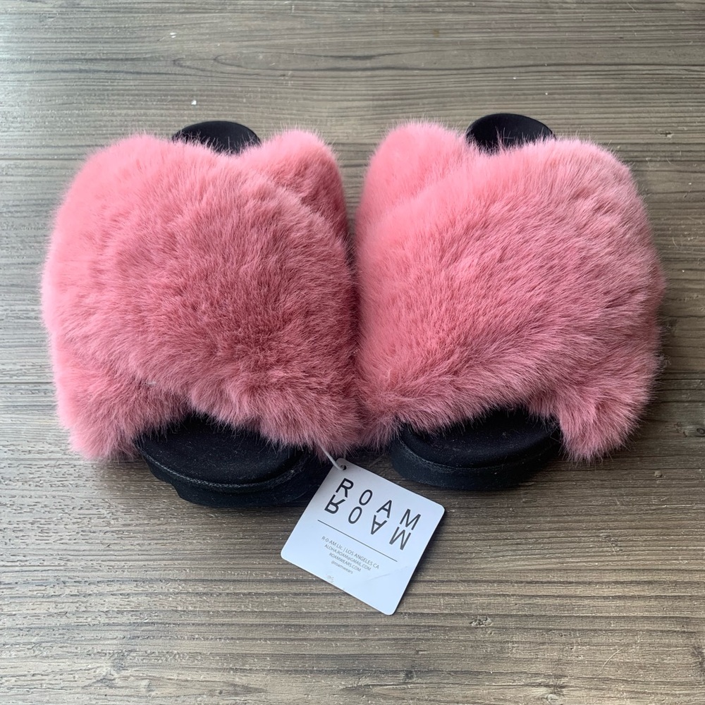 ROAM Cloud Slides in Flamingo